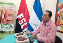 INTA realiza conferencia sobre tecnologías y prácticas para el cultivo de frijol en la época de apante