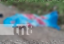 Tragedia en Matagalpa: hombre fallece bajo las llantas de un camión salero Foto: Un giro indebido en carretera mojada deja un saldo fatal en Matagalpa. Hombre de 31 años muere de manera instantánea en accidente/TN8