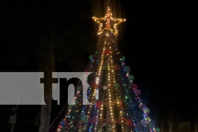 Foto: La Libertad celebra la Navidad con luces, música y tradición. Encendido del árbol y caminata llenaron de alegría el municipio. /TN8 Foto: La Libertad celebra la Navidad con luces, música y tradición. Encendido del árbol y caminata llenaron de alegría el municipio. /TN8