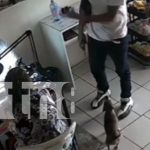 Las Mercedes: sujeto roba a mano armada en negocio de uñas acrílicas Foto: Video muestra indignante robo en emprendimiento de uñas acrílicas en Las Mercedes. Policía trabaja para identificar al responsable. /TN8