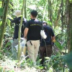 Costa Rica: Hallan cuerpo quemado y apuñalado en un atroz crimen Foto: Crimen en Costa Rica /cortesía