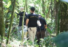Foto: Crimen en Costa Rica /cortesía