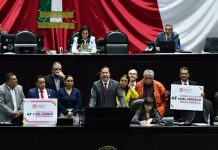 Parlamento de México elimina siete organismos autónomos Foto: México elimina organismos /cortesía