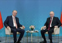 Diálogo presidencial entre Rusia y Türkiye fortalece relaciones estratégicas Foto: Diálogo presidencial entre Rusia y Türkiye fortalece relaciones estratégicas / Cortesía