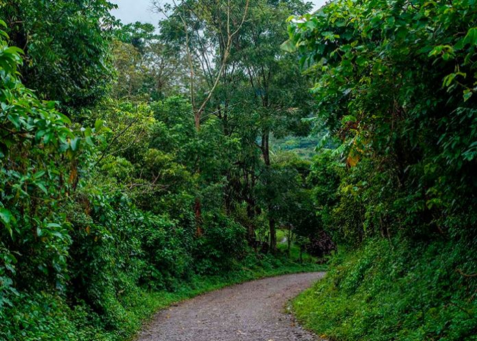 Foto: Nicaragua impulsa el turismo y la agricultura/Cortesía