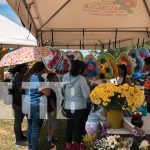 Cementerios de Nicaragua se visten de color y tradición en el día de los fieles difuntos Foto: Cementerios de Nicaragua se visten de color y tradición en el día de los fieles difuntos/TN8