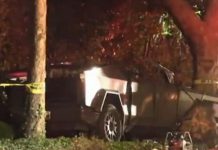 Brutal accidente en California, EE. UU. deja tres muertos y un herido Foto: Tragedia en California /cortesía