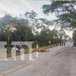 Trágico accidente de tránsito en Siuna deja a un hombre muerto Foto: Trágico accidente tránsito en Siuna deja un muerto/TN8