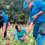 IPSA garantiza la exportación segura de semillas para Centroamérica y Suramérica Foto: IPSA garantiza la exportación segura de semillas para Centroamérica y Suramérica/ Cortesía