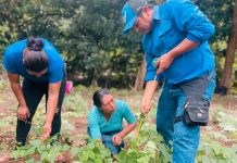 Fortalecimiento de capacidades técnicas agroclimáticas para apoyar a pequeños agricultores Foto: IPSA garantiza la exportación segura de semillas para Centroamérica y Suramérica/ Cortesía