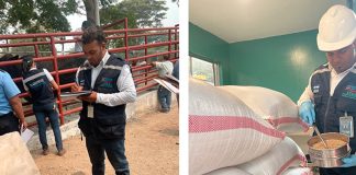 Foto: IPSA refuerza su compromiso de garantizar la calidad/Cortesía