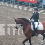 Elogian genética equina de Nicaragua en el Campeonato de Caballos de Raza Española Foto: expertos expresaron que Nicaragua cuenta con una excelente genética/TN8