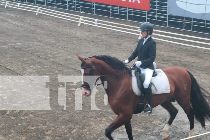 Foto: expertos expresaron que Nicaragua cuenta con una excelente genética/TN8 Foto: expertos expresaron que Nicaragua cuenta con una excelente genética/TN8