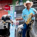 Madriz celebra su 88 aniversario con actividades culturales, desfiles y más Foto: ¡Madriz está de fiesta! Celebramos 88 años de historia, cultura y desarrollo con actividades que unen a toda la familia. /TN8