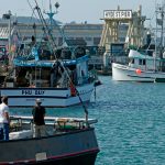 Padre sacrifica su vida para salvar a su hijo de un naufragio en EE.UU. Foto: En Estados Unidos, niño de 13 años es el único sobreviviente de un naufragio/Cortesía