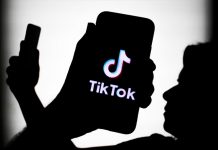 TikTok lanza nueva función para simplificar el manejo de fotografías Foto: Lemon8 y TikTok se unen /cortesía
