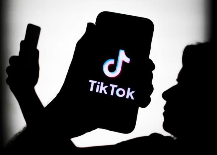 Foto: Lemon8 y TikTok se unen /cortesía Foto: Lemon8 y TikTok se unen /cortesía