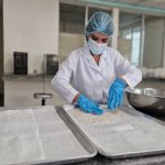 INTA avanza en investigación y producción de semillas para mejorar cultivos en Nicaragua