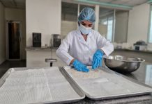 INTA avanza en investigación y producción de semillas para mejorar cultivos en Nicaragua