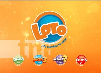 LOTO Nicaragua celebra a más de 300 adultos mayores con actividades recreativas Foto: LOTO Nicaragua celebra a más de 300 adultos mayores con actividades recreativas/ Cortesía