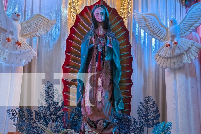 2 Foto. La corte celestial se toma Granada: inauguran la Exposición Nacional de Santos Patronos/TN8