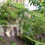 Tragedia en La Trinidad: Menor pierde la vida al intentar cruzar una quebrada a caballo Foto: Niño de 8 años y su abuelo mueren en tragedia fluvial en La Trinidad/ TN8