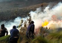 Ecuador declara «emergencia nacional» por incendios y déficit hídrico Foto: Emergencia nacional en Ecuador/Cortesía
