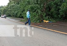 Motociclista muere tras chocar contra un camión en la carretera a Managua Foto: kilómetro 22 de la carretera Sabana Grande a Managua/TN8