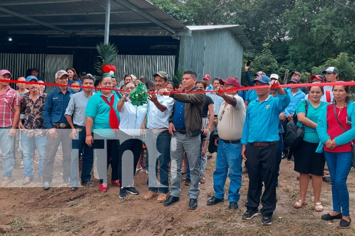 2 Foto: Más de 7,000 quintales de café de Madriz listos para exportación a EE. UU./TN8