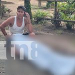 Joven muere electrocutado mientras podaba un árbol en Corn Island Foto: Joven muere electrocutado mientras podaba un árbol en Corn Island/TN8