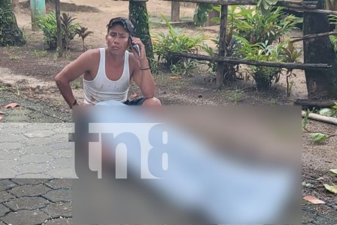 2 Foto: Joven muere electrocutado mientras podaba un árbol en Corn Island/TN8