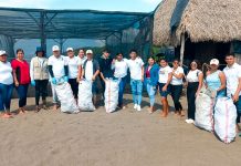 MARENA y CNU promueven voluntariado ambiental para proteger especies marinas Foto: Estas acciones se enmarcan en el Convenio de Colaboración entre MARENA y el CNU/Cortesía