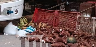 Foto: Un accidente de tránsito en Juigalpa deja serios daños en un puesto de verduras. Autoridades investigan el caso./TN8