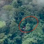 Encuentran en Costa Rica avioneta desaparecida con seis pasajeros a bordo Foto: Accidente en Costa Rica/Cortesía