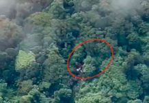 Encuentran en Costa Rica avioneta desaparecida con seis pasajeros a bordo Foto: Accidente en Costa Rica/Cortesía