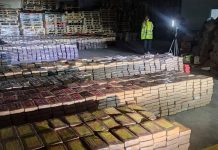 Capturan en España a uno de los mayores capos de droga a nivel mundial Foto: cortesía/ Desmantelar una de las redes de tráfico de drogas más poderosas del mundo