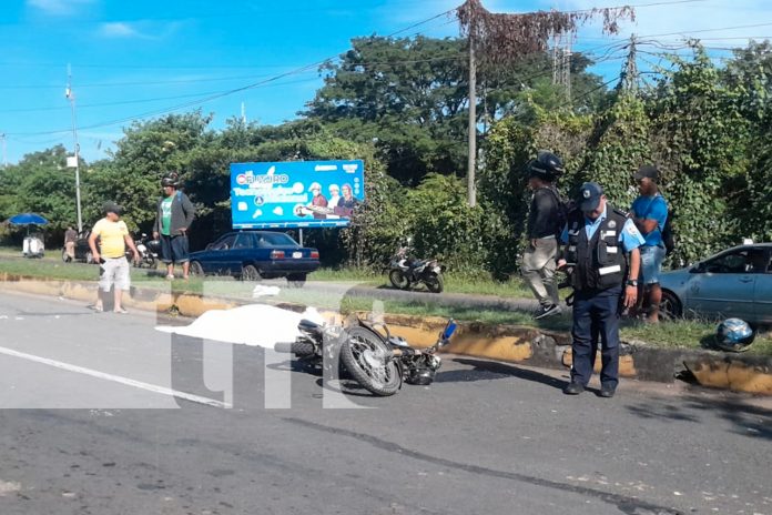Foto: Tragedia en Granada /TN8