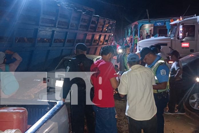 Foto:  Un camión cargado de frutas de palma africana pierde el control en Wapi, dejando taxis dañados, una vivienda afectada y un herido/TN8 Foto: Un camión cargado de frutas de palma africana pierde el control en Wapi, dejando taxis dañados, una vivienda afectada y un herido/TN8