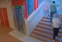 Hombre empuja por las escaleras y roba a una anciana en Suecia (VIDEO) Foto: el joven emigró a Suecia en 2015 y recibió un permiso de residencia/Cortesía