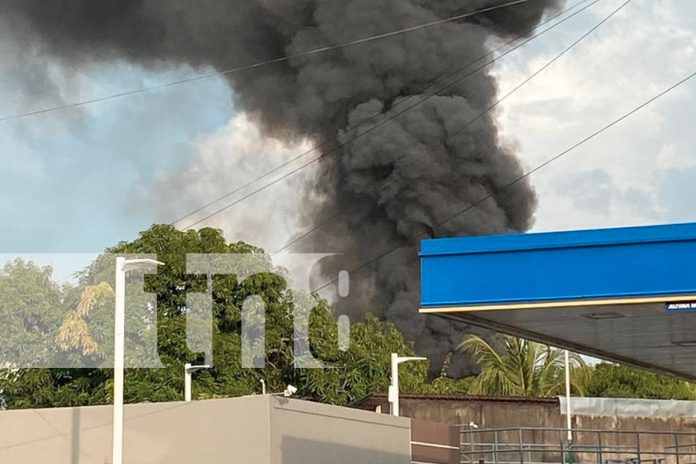 Foto: Una humilde vivienda de madera y zinc fue destruida por un incendio en Chinandega. Vecinos y autoridades trabajaron para evitar mayores daños/TN8 Foto: Una humilde vivienda de madera y zinc fue destruida por un incendio en Chinandega. Vecinos y autoridades trabajaron para evitar mayores daños/TN8