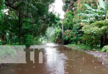 «Bajo vigilancia» Isla de Ometepe activada por riesgo producto de las lluvias Foto: autoridades de la Isla de Ometepe se mantienen activadas/Cortesía