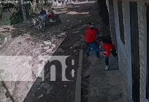 Robo con violencia en Managua: captan en video a un ladrón en carretón halado por caballo Foto: Dos mujeres fueron víctimas de un robo con violencia en el barrio Francisco Salazar, Managua. Las cámaras de seguridad los captaron/TN8