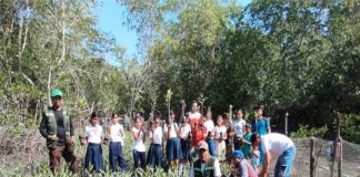 Foto: MARENA reporta avances significativos en la reforestación/Cortesía