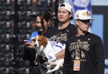 Serie Mundial promedia 12,9 millones de televidentes en Japón shohei, ohtani, dodgers, angeles,