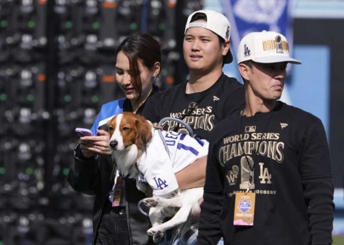 Ohtani shohei, ohtani, dodgers, angeles,