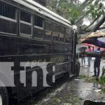 Árbol le cae a un bus y lesiona a un pasajero en El Realejo, Chinandega Foto: Árbol cae sobre un bus en Chinandega / TN8