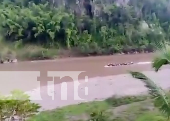 Foto: Vuelco de bote en el Río Coco / TN8 Foto: Vuelco de bote en el Río Coco / TN8