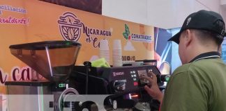 Foto: Nicaragua con el mejor café del mundo / TN8