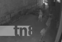 Pegó el grito al cielo y se salvó de un asalto en Managua (VIDEO) Foto: Mujer se salva de un asalto en Managua / TN8