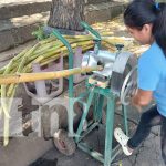 ¿Ya probaste el guarapo? El jugo de caña que te pone potente Foto: Jugo de caña, o guarapo, emprendimiento nuevo en Managua / TN8